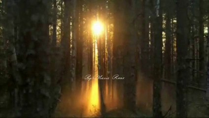 Shrine of the times...(Harry Gregson-Williams)