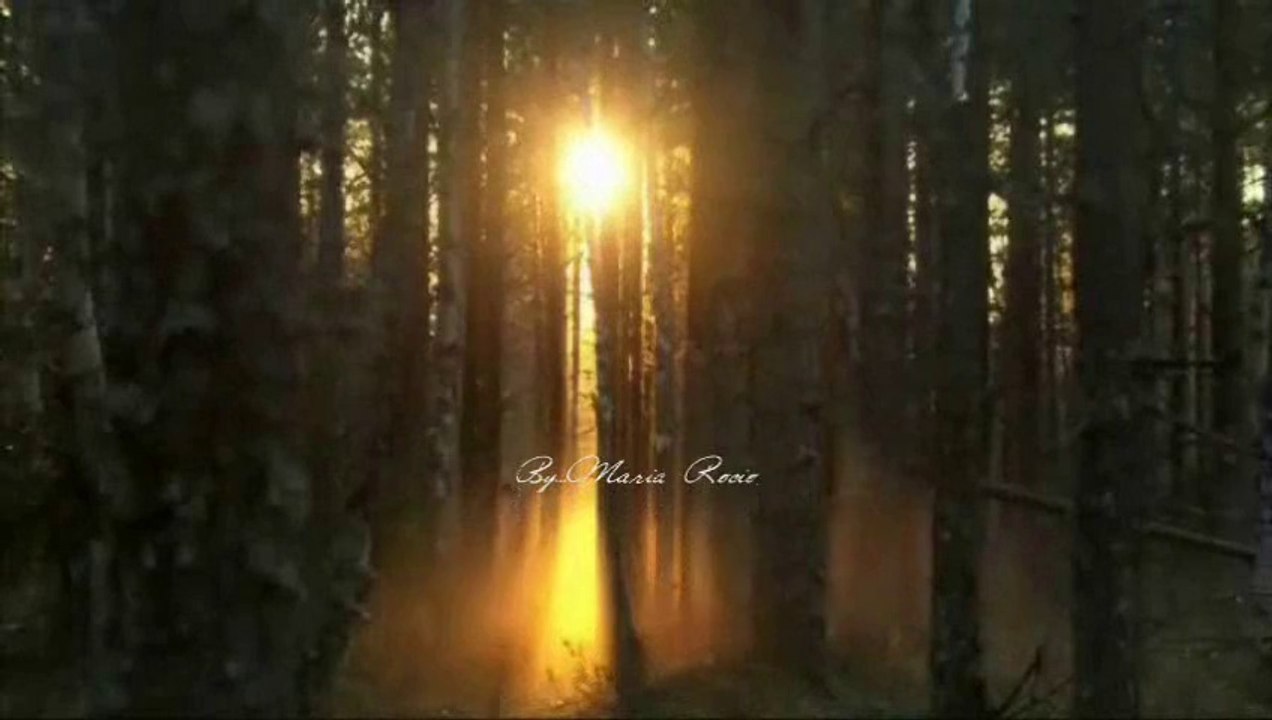 Shrine of the times...(Harry Gregson-Williams)