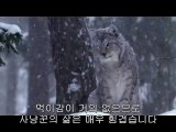 bamwar【 c o m】 강동오피㈕༇밤의전쟁▷청주오피,청담오피༙BAM WAR COM 광주오피㈓༈밤의전쟁▷서초오피,내방오피༚