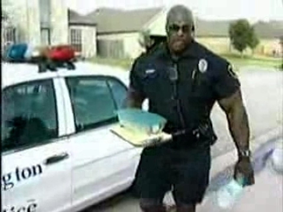 Ronnie police