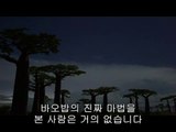 bamwar『com』 부산오피㉶།밤의전쟁▷수원오피,천왕오피༝bamwar.com 하단오피㉷༎༏밤의전쟁▷일산오피,신중동오피༞