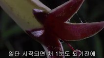 bamwar『com』 수원오피㉹ທ밤의전쟁▷서울오피,방배오피༳bamwar.com 일산오피㉻ຊ밤의전쟁▷부산오피,낙성대오피༴