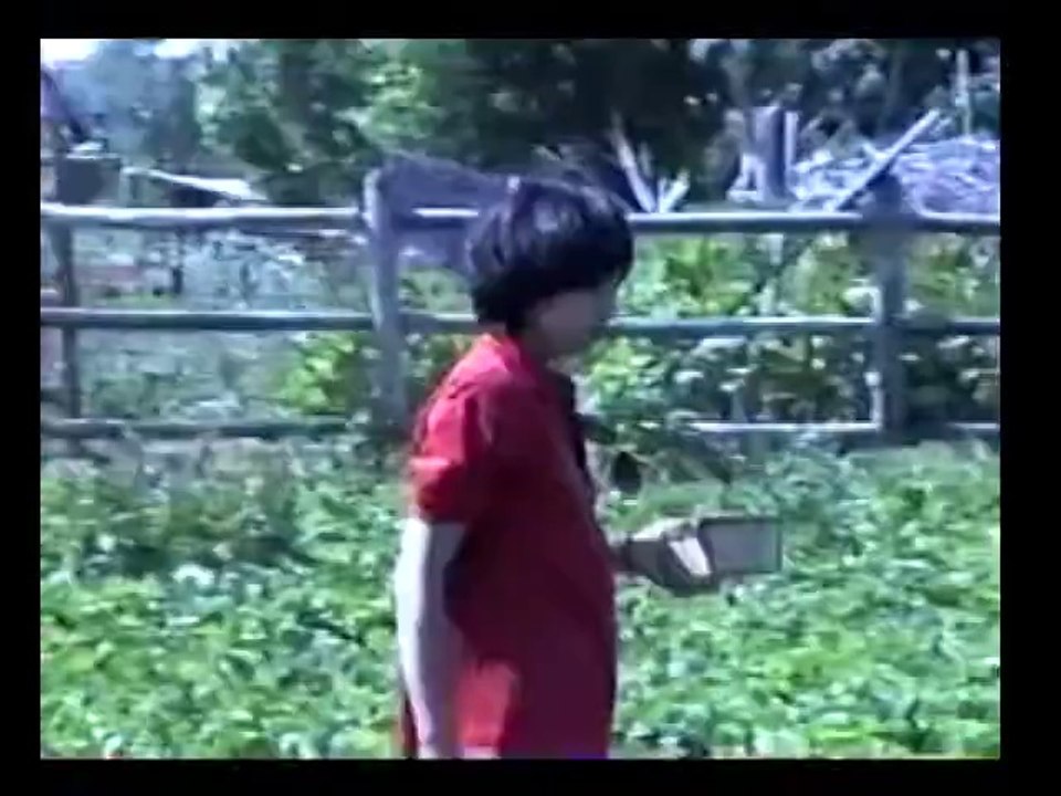 The Le Family At Strawberry Farm