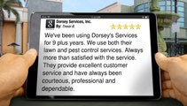 ExcellentReview for Dorsey Services, Inc. by Trevor B.         Impressive         5 Star Review by Trevor B.