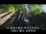 bamwar【 c o m】 신촌오피㈉༅밤의전쟁▷철산오피,부산오피༗BAM WAR COM 독산오피㈂༆밤의전쟁▷학동오피,하단오피༘